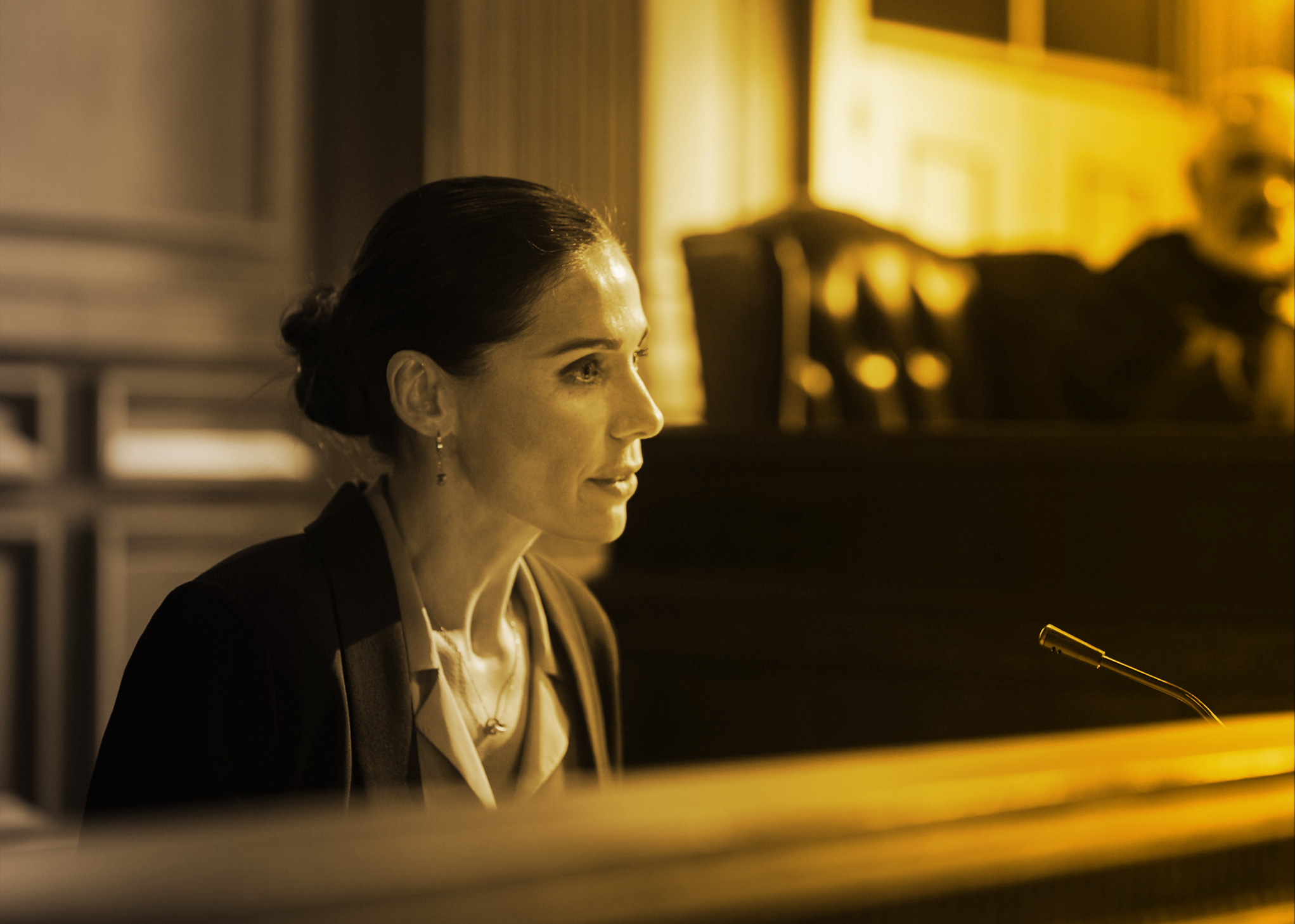 Essential knowledge for the Expert Witness: Roles and responsibilities